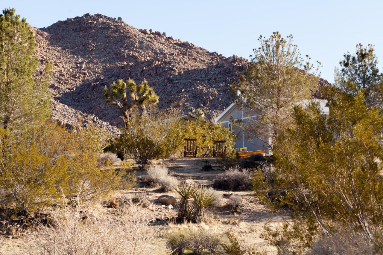 ג'ושואה טרי @ Marbella Lane - 10 Acres Oasis Desert Retreat! מראה חיצוני תמונה
