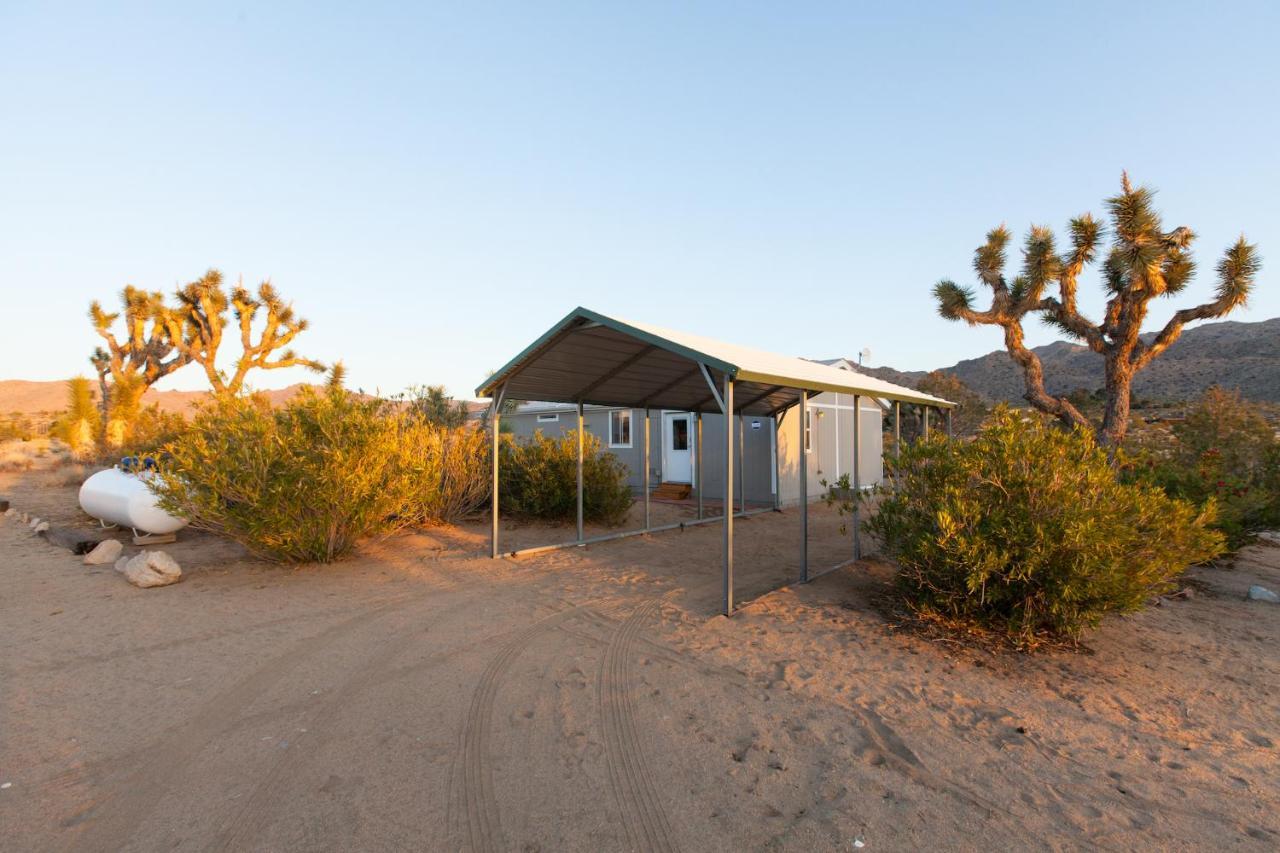 ג'ושואה טרי @ Marbella Lane - 10 Acres Oasis Desert Retreat! מראה חיצוני תמונה